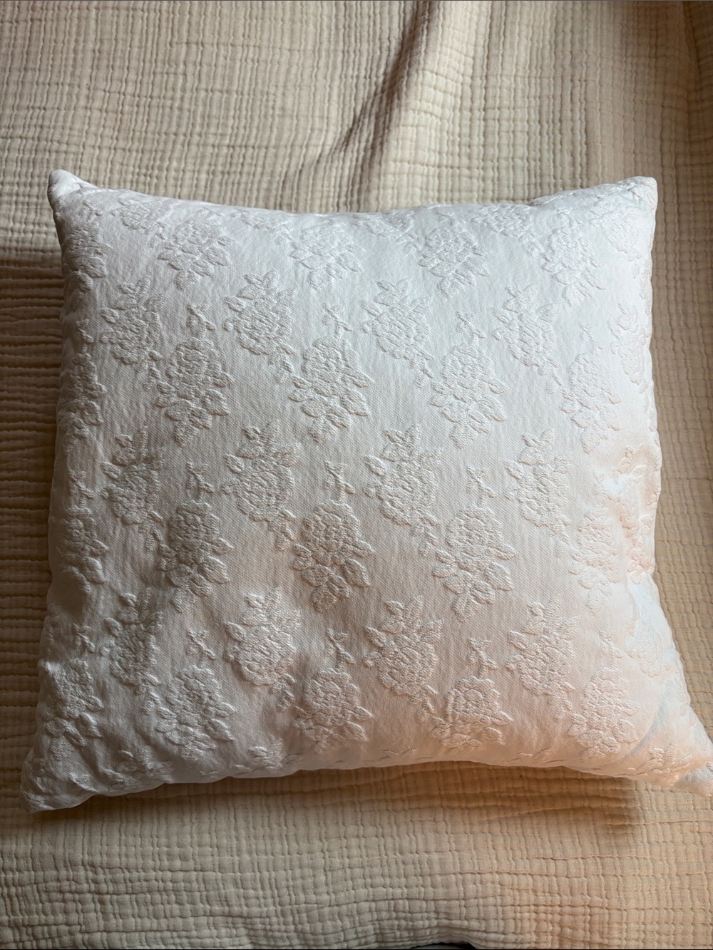 2 Rachel Ashwell Shabby Chic Jacquard Throw Pillows